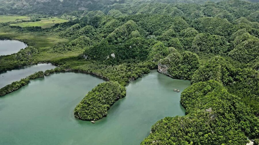 Punta Cana: Los Haitises Hike & Kayaking Mangroves - What the $135 Price Really Buys