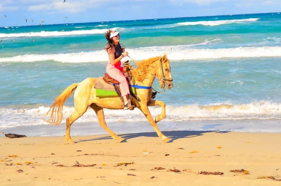 Punta Cana: Macao Beach & Forest Horseback Riding Tour - Weather, timing, and the real pace of the day