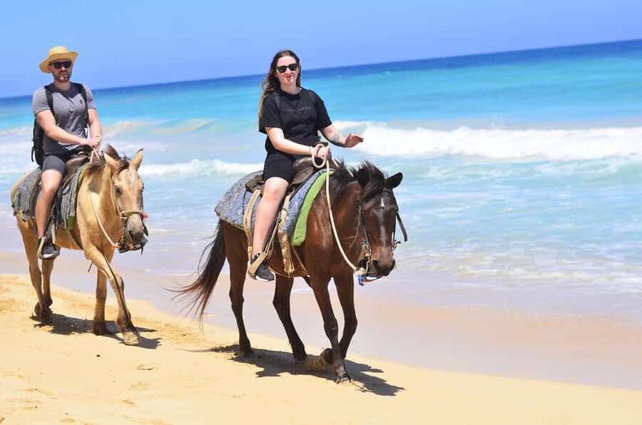 Punta Cana: Macao Beach & Forest Horseback Riding Tour - Through the forest and toward Río Anamuya