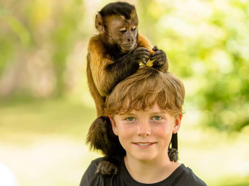 Punta Cana: Monkey Adventure by Jhoraji With Hotel Pick-Up - Bottle-feeding the baby monkey