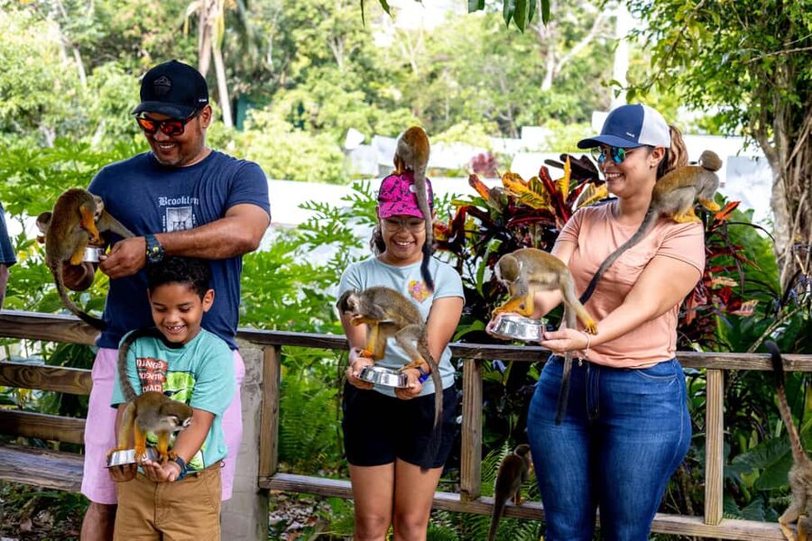 Punta Cana: Monkey Land Half-Day Safari and Plantation - Key points to know before you book