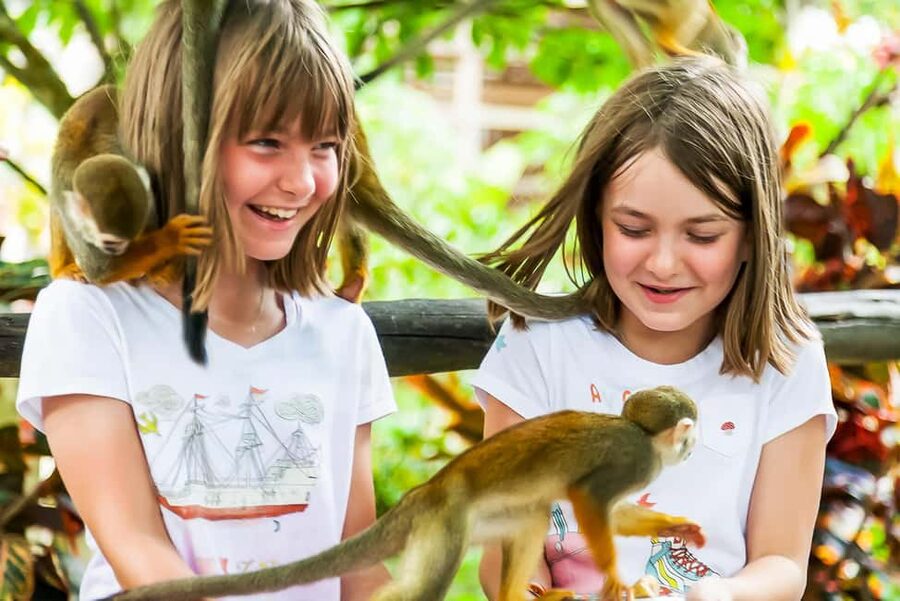 Punta Cana: Monkey Land Half-Day Safari and Plantation - What the $95 Punta Cana tour actually gives you
