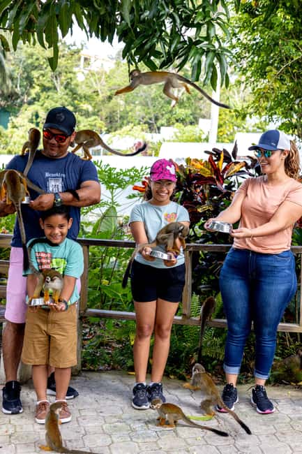 Punta Cana: Monkey Land Half-Day Safari and Plantation - Who should book this tour?