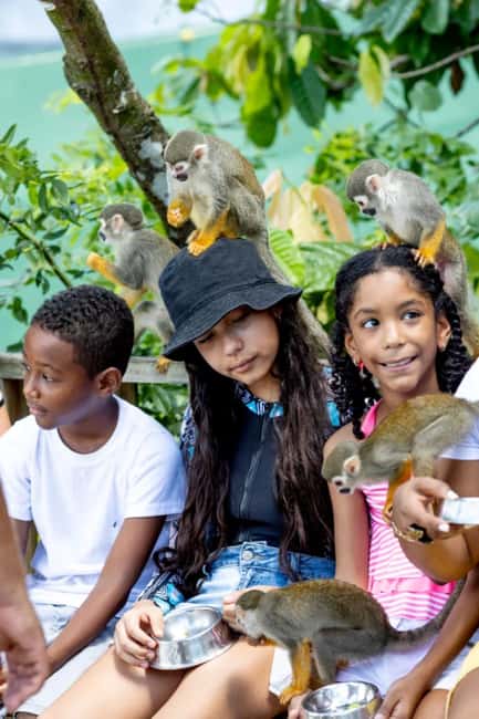 Punta Cana: Monkey Sanctuary Half-Day Tour - Key points to know before you book