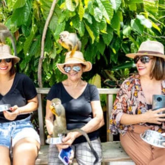 Punta Cana: Monkey Sanctuary Half-Day Tour - The coconut, coffee, and chocolate stop