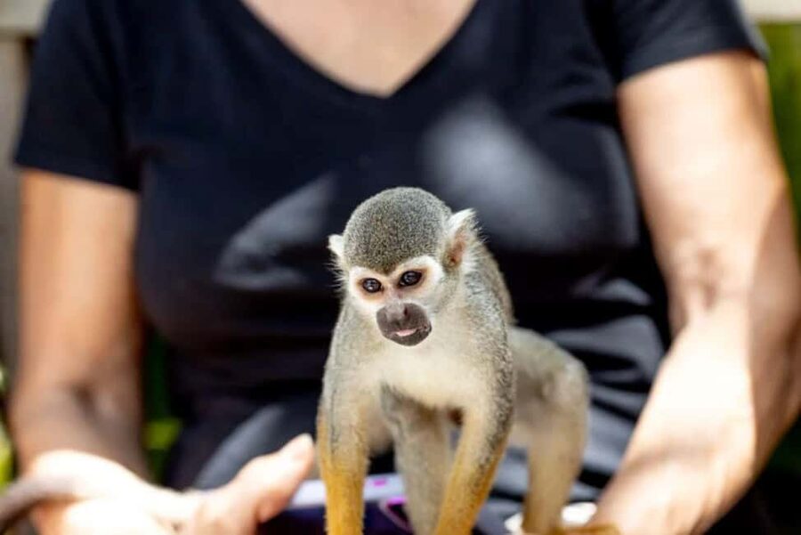 Punta Cana: Monkey Sanctuary Half-Day Tour - The drive toward Bonao