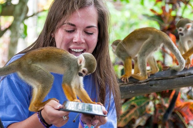 Punta Cana Monkeyland and Zipline Two Adventures in One Day - Coconut House, coffee, chocolate, and local food