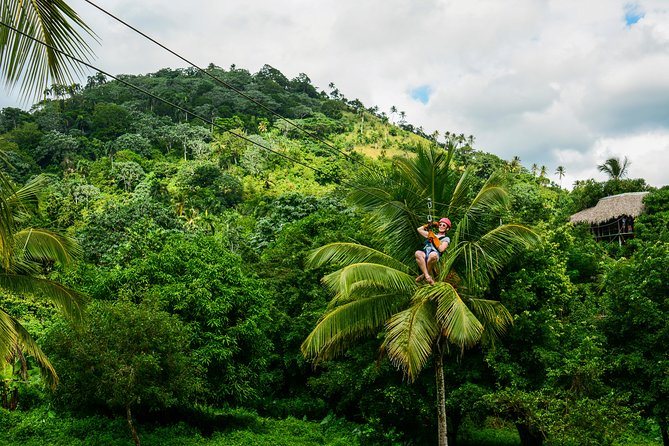 Punta Cana Monkeyland and Zipline Two Adventures in One Day - Is $115 a fair price?