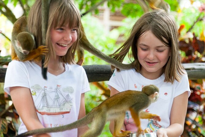 Punta Cana Monkeyland and Zipline Two Adventures in One Day - The 12 zipline cables through the forest