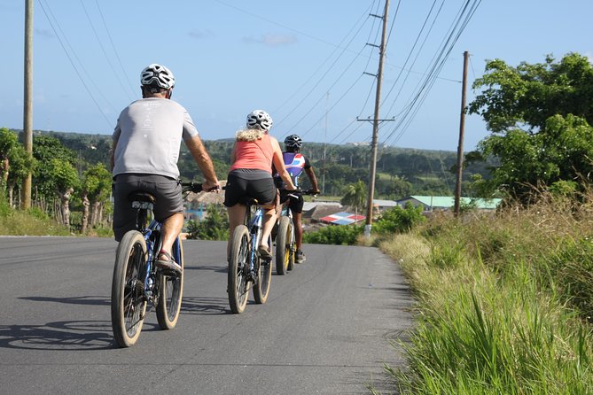 Punta Cana Mountain E-Bike Tour - The plantation stop is the heart of the outing