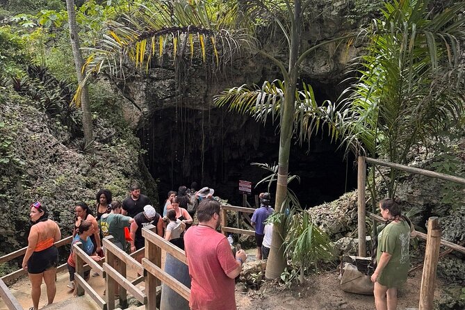 Punta Cana Off-Road Buggy Tour Macao Beach and Cave Experience - Coffee, cacao, and local farm flavors
