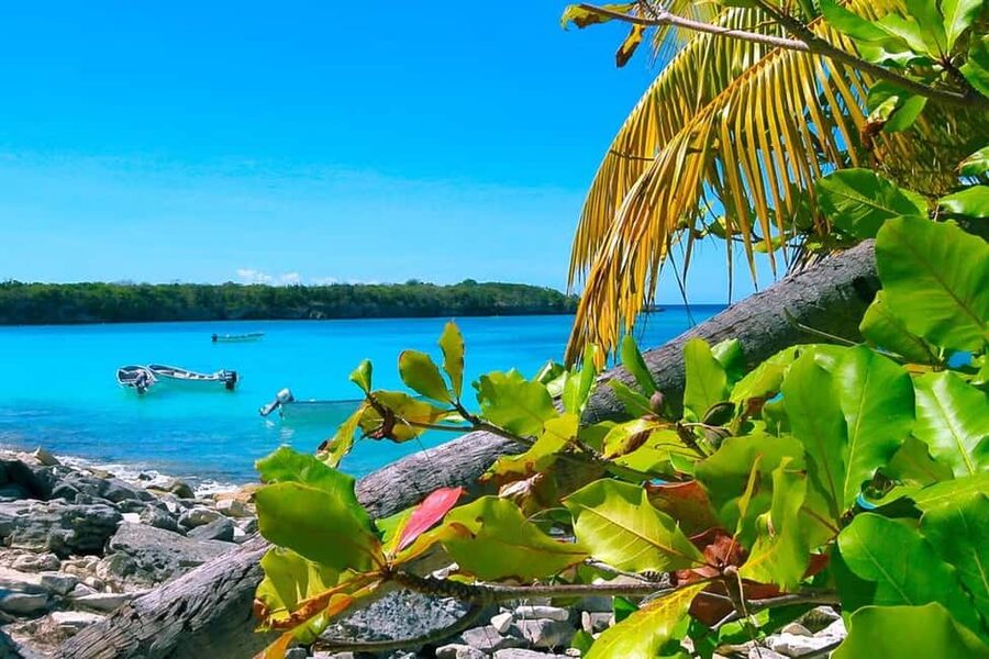 Punta Cana or La Romana: Catalina Island Tour and Snorkeling - Key points to know before booking