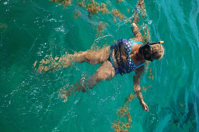 Punta Cana Party Boat:open bar - The marine conservation and snorkeling stop