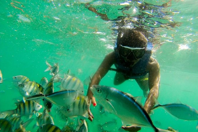 Punta Cana Party Boat Snorkeling with Music DJ and Open Bar - Hotel pickup is useful, but confirm it early