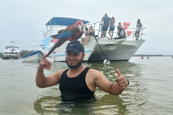 Punta Cana Party Boat with Open Bar, Snorkeling & Natural Pool - Dolphin viewing in their natural habitat