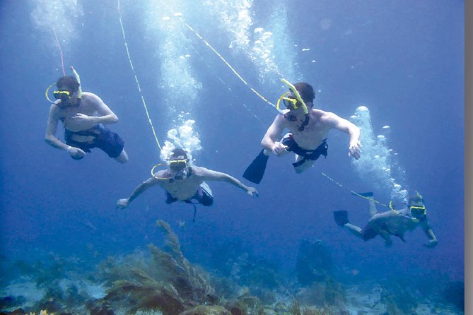 Punta Cana Party Cruise with Snorkeling, Hooka Diving and Parasailing - Trying Hooka equipment without certification