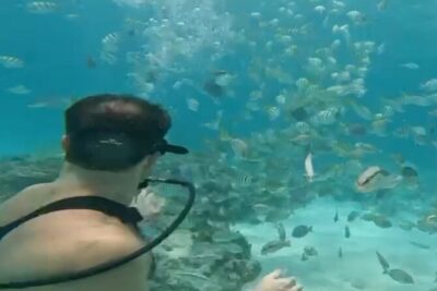 Punta Cana Party Cruise with Snorkeling, Hooka Diving and Parasailing