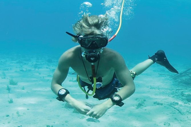 Punta Cana Party Cruise with Snorkeling, Hooka Diving and Parasailing - Parasailing above the coast