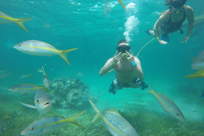 Punta Cana Party Cruise with Snorkeling, Hooka Diving and Parasailing - The catamaran party and waist-deep-water stop