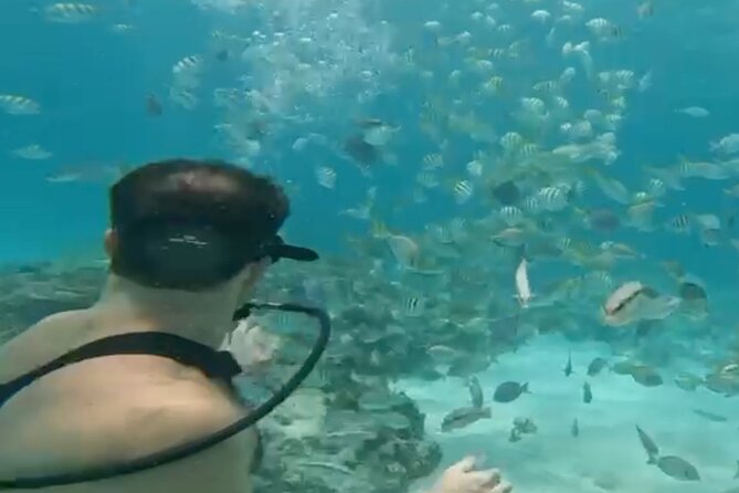 Punta Cana Party Cruise with Snorkeling, Hooka Diving and Parasailing - Snorkeling over Punta Cana’s reef