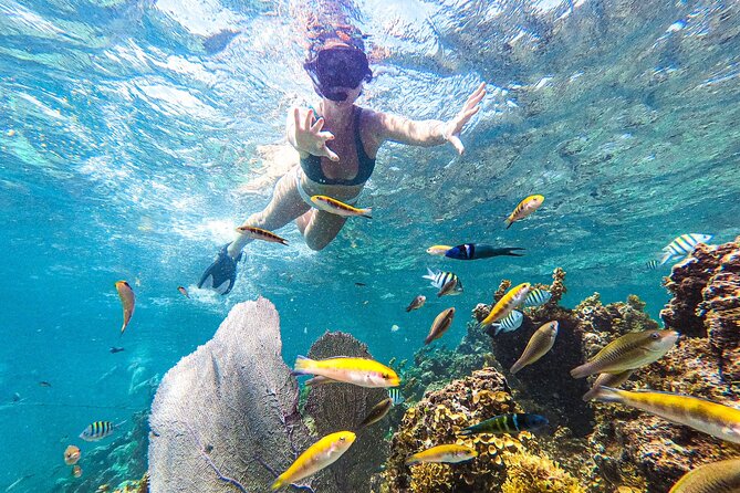Punta Cana Private Cruise Up To 10 Snorkeling & Seafood lunch - Why This Private Punta Cana Cruise Works So Well for Groups