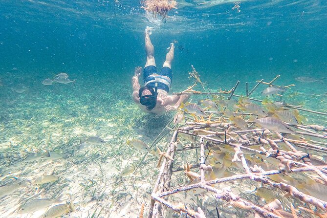 Punta Cana Private Cruise Up To 10 Snorkeling & Seafood lunch - Seafood From the Floating Kitchen