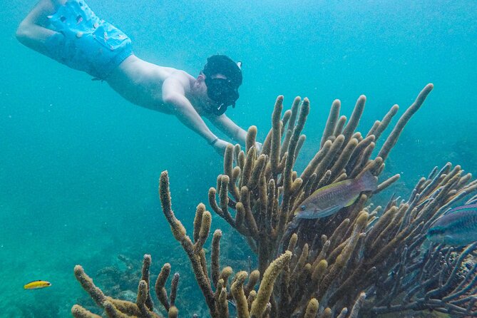Punta Cana Private Cruise Up To 10 Snorkeling & Seafood lunch - Who Will Get the Most From This Boat Day