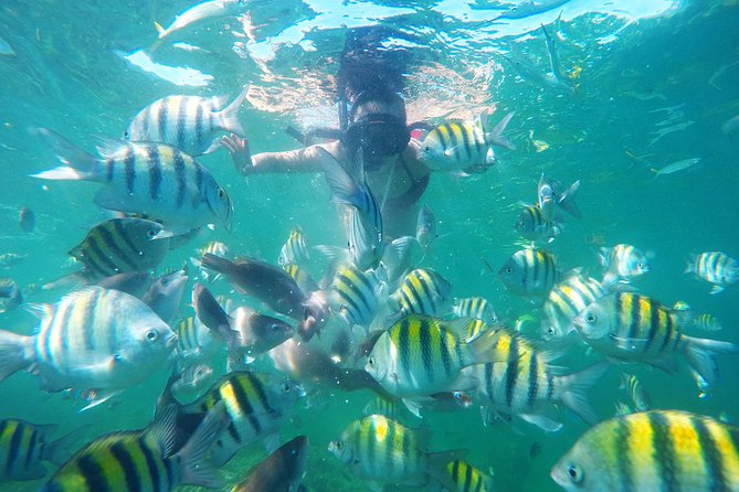 Punta Cana Private Cruise Up To 10 Snorkeling & Seafood lunch - Snorkeling at Cabeza de Toro Reef