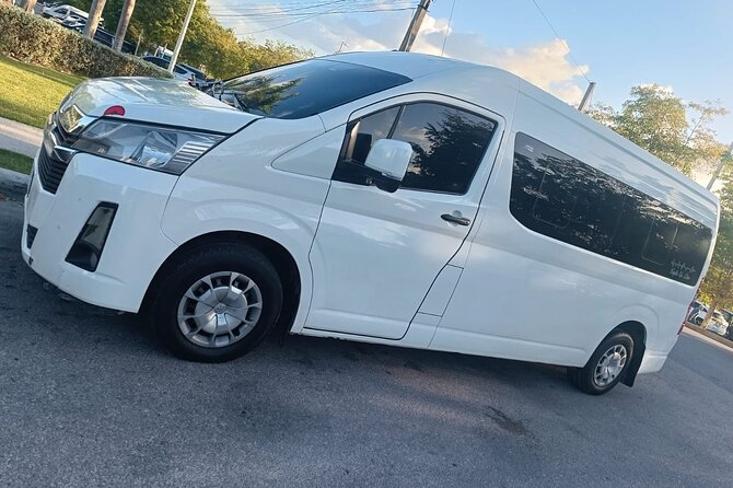Punta Cana Private Transfer - Key points to know before you book