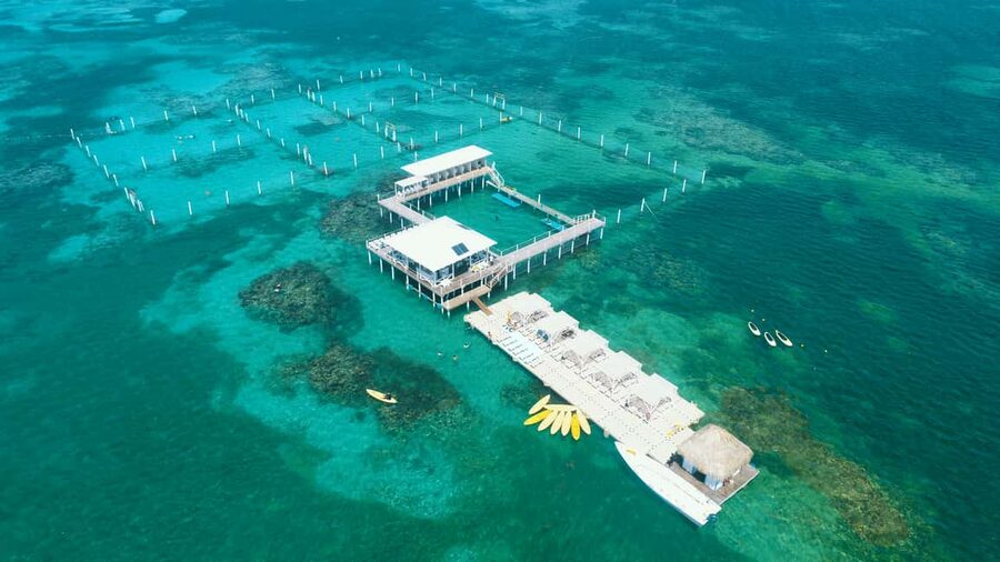 Punta Cana: Reef Explorer Access w/ Sharks & Stingrays Swim - The floating park is the real attraction