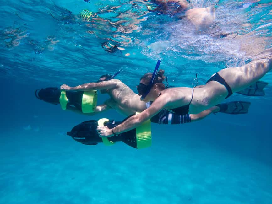 Punta Cana: Reef Explorer Access w/ Sharks & Stingrays Swim - Shark and stingray encounters need realistic expectations