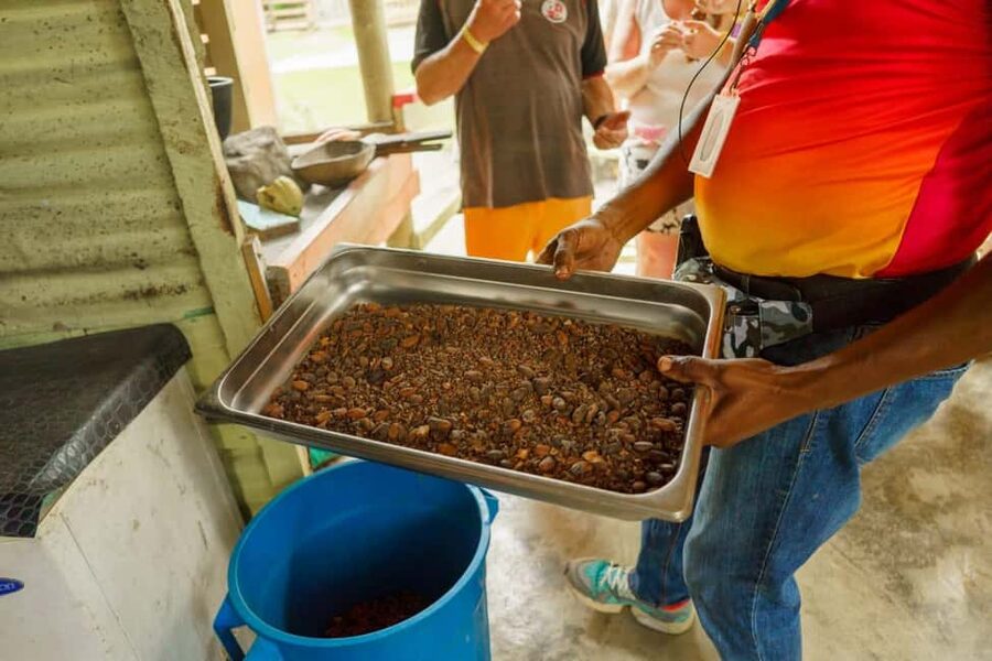 Punta Cana safari experience and historical city tour - Higüey market and the taste of daily life