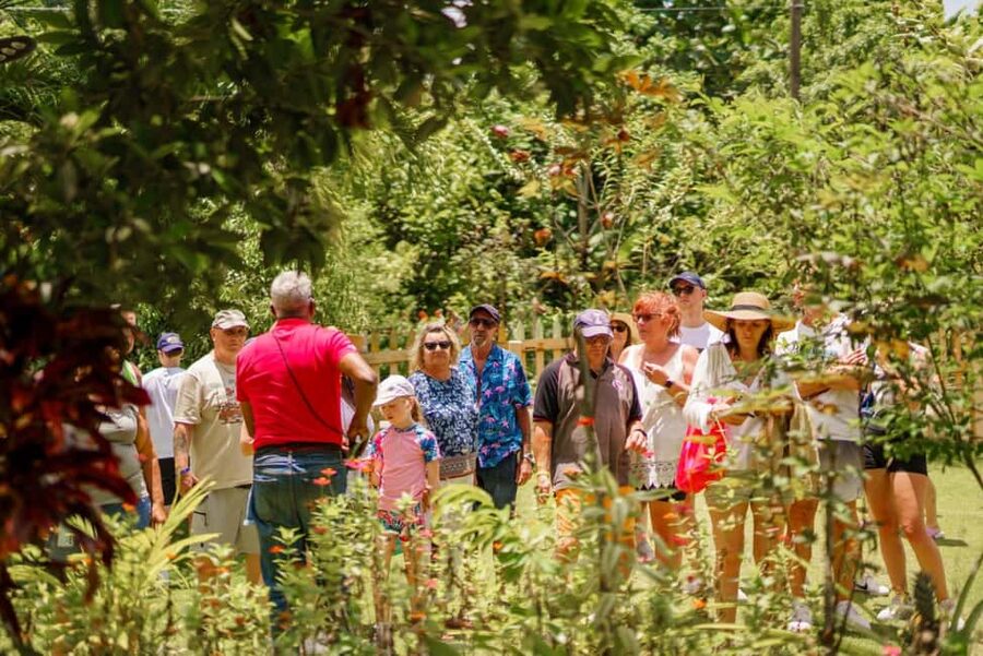 Punta Cana safari experience and historical city tour - Sugar cane and cocoa plantations