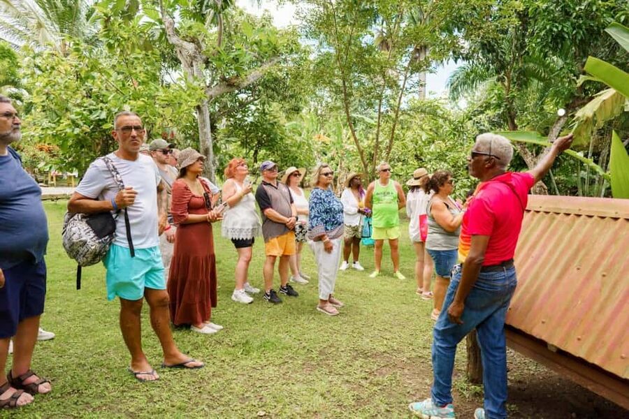 Punta Cana safari experience and historical city tour - Timing, comfort, and what to bring