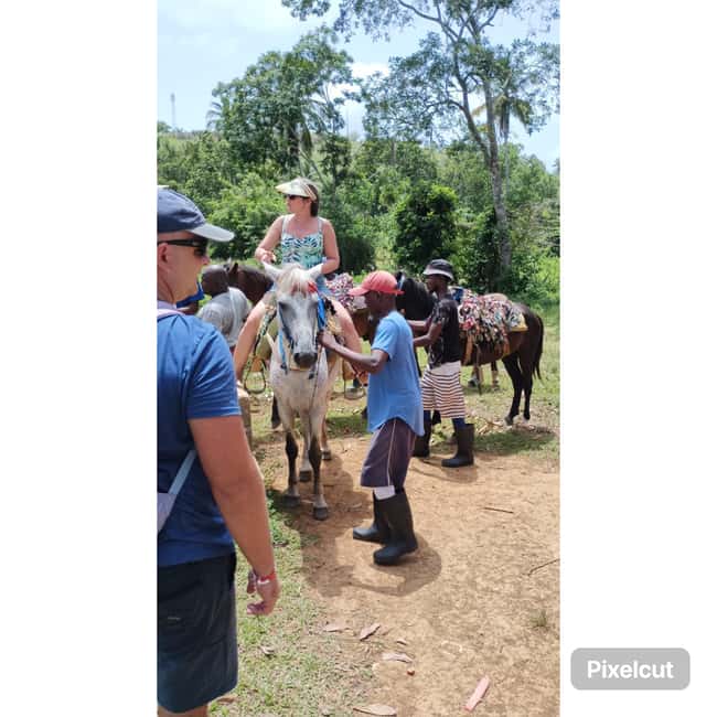 Punta Cana: Samaná Cayo Levantado & El Limón Waterfall Tour - The real cost of a 10 to 12 hour excursion