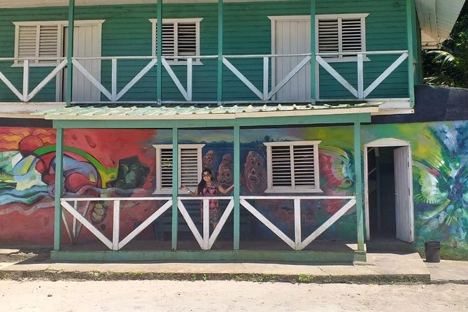 Punta Cana: Samaná, Lemon Falls and Bacardi Island - Why this Samaná day trip is different