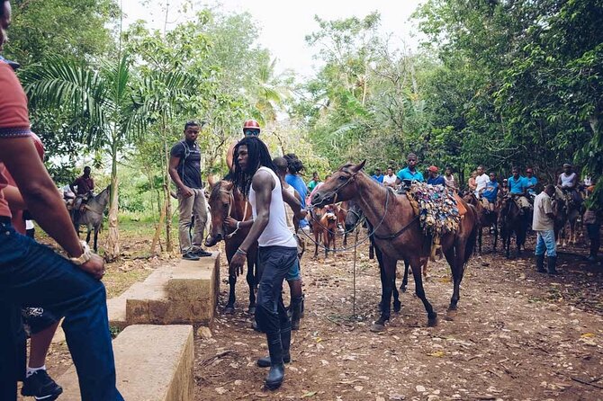 Punta Cana: Samaná, Lemon Falls and Bacardi Island - Reaching Lemon Falls by horse
