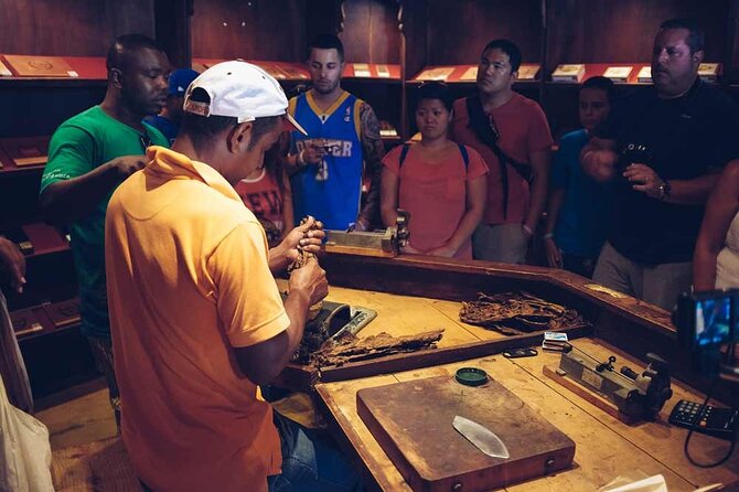 Punta Cana: Samaná, Lemon Falls and Bacardi Island - Boat time, mangroves, and Taino history