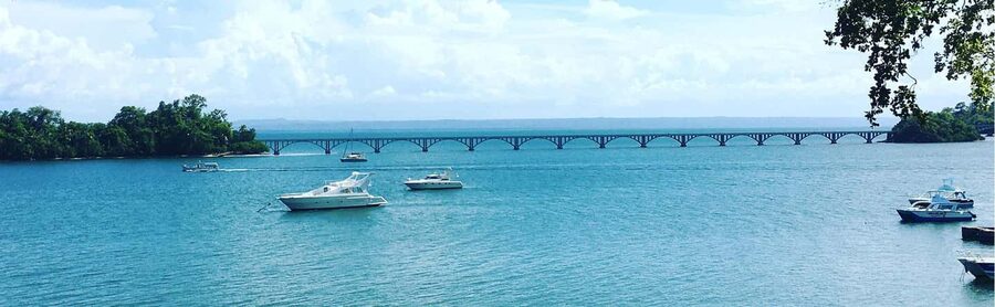 Punta Cana: Samaná Whale Watching, Bacardi & Limon Falls - Who should book this Samaná day trip?