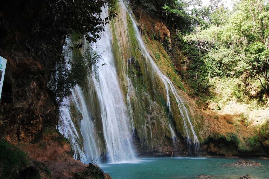 Punta Cana: Samaná Whale Watching, Bacardi & Limon Falls - How the $107 price measures up