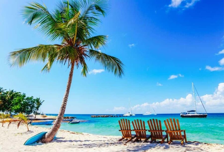 Punta Cana - Santo Domingo: Saona Island VIP Catamaran Tour - Why Saona Island makes a full-day outing worthwhile