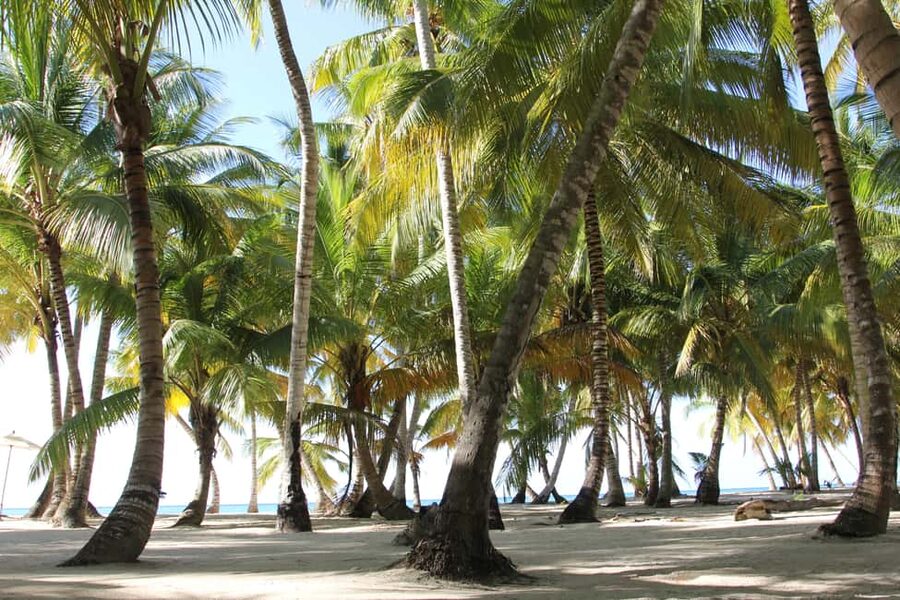 Punta Cana: Saona Island and Altos de Chavón Day Trip - Bayahíbe Beach and the boat transfer