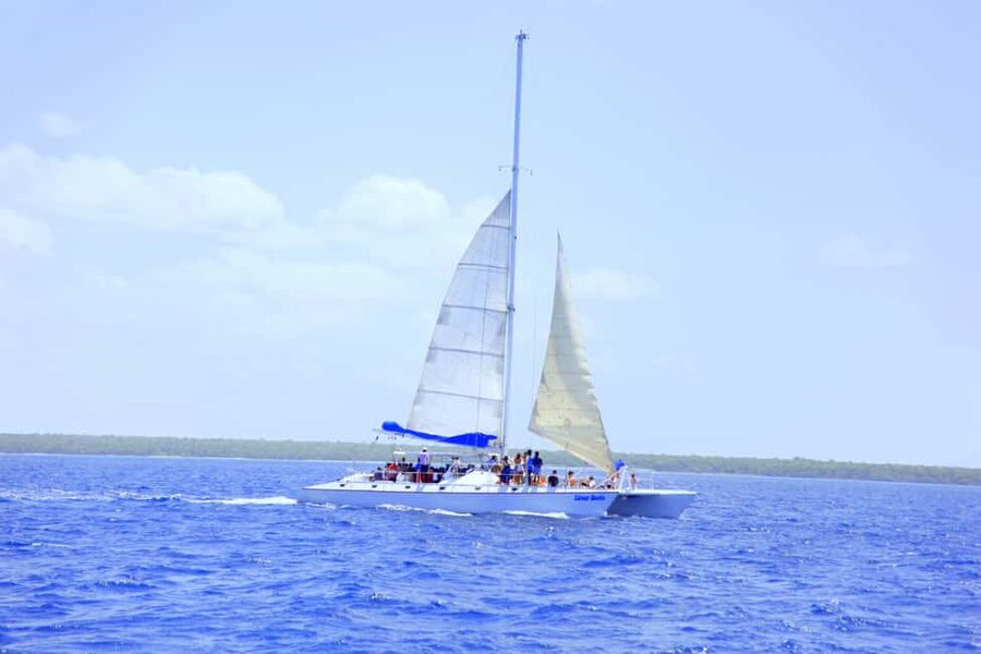 Punta Cana: Saona Island and Altos de Chavón Day Trip - Three hours on Saona Island