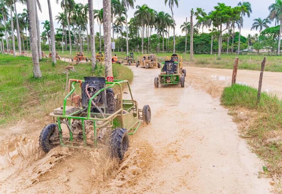 Punta Cana: Saona Island and Buggy Combo - Should you book the Saona Island and Buggy Combo?