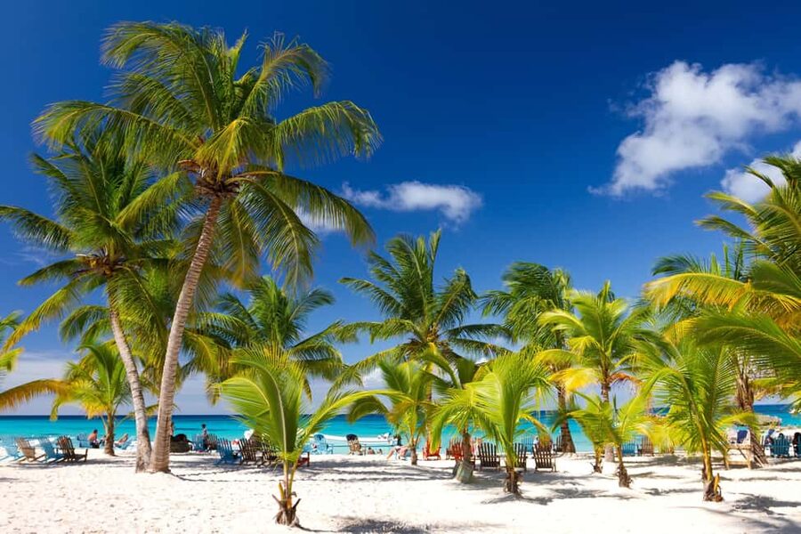 Punta Cana: Saona Island Catamaran Adventure with Lunch - Why Saona Island makes this a popular day trip