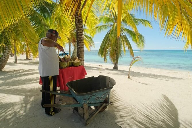 Punta Cana: Saona Island Catamaran Open Bar / Food Hotel Pickup - The catamaran return at 3:30 p.m.