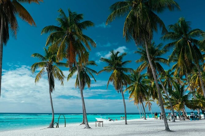 Punta Cana: Saona Island Catamaran Open Bar / Food Hotel Pickup - Cancellation and weather notes