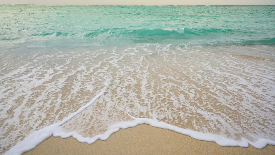 Punta Cana: Saona Island Catamaran Tour with Food & Open Bar - What the $67 price really covers