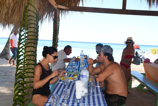 Punta Cana : Saona Island Day Tour - Why Saona Island is the star of the trip