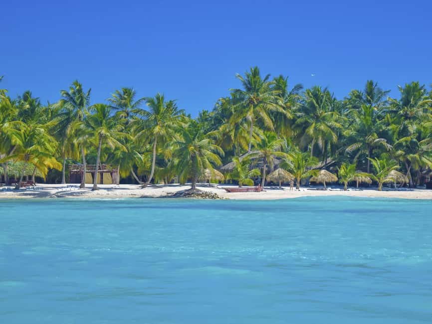 Punta Cana: Saona Island Day Trip with Blue Lagoon & Lunch - Who should book this outing